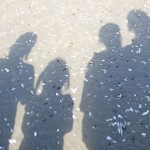 on Rhossili beach