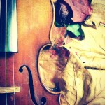 my violin & leaves my violin & leaves