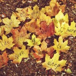 photo of written on leaves on shoot photo of written on leaves on shoot