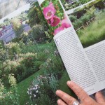 June's "Country Living" June's "Country Living"
