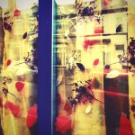 leaves on the window leaves on the window
