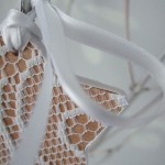 star detail
