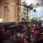 real christmas tree in sitting room