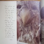 page from Heads On and We Shoot