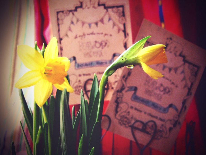 spring flyers & daffs