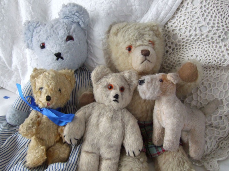bears & animals from my collection